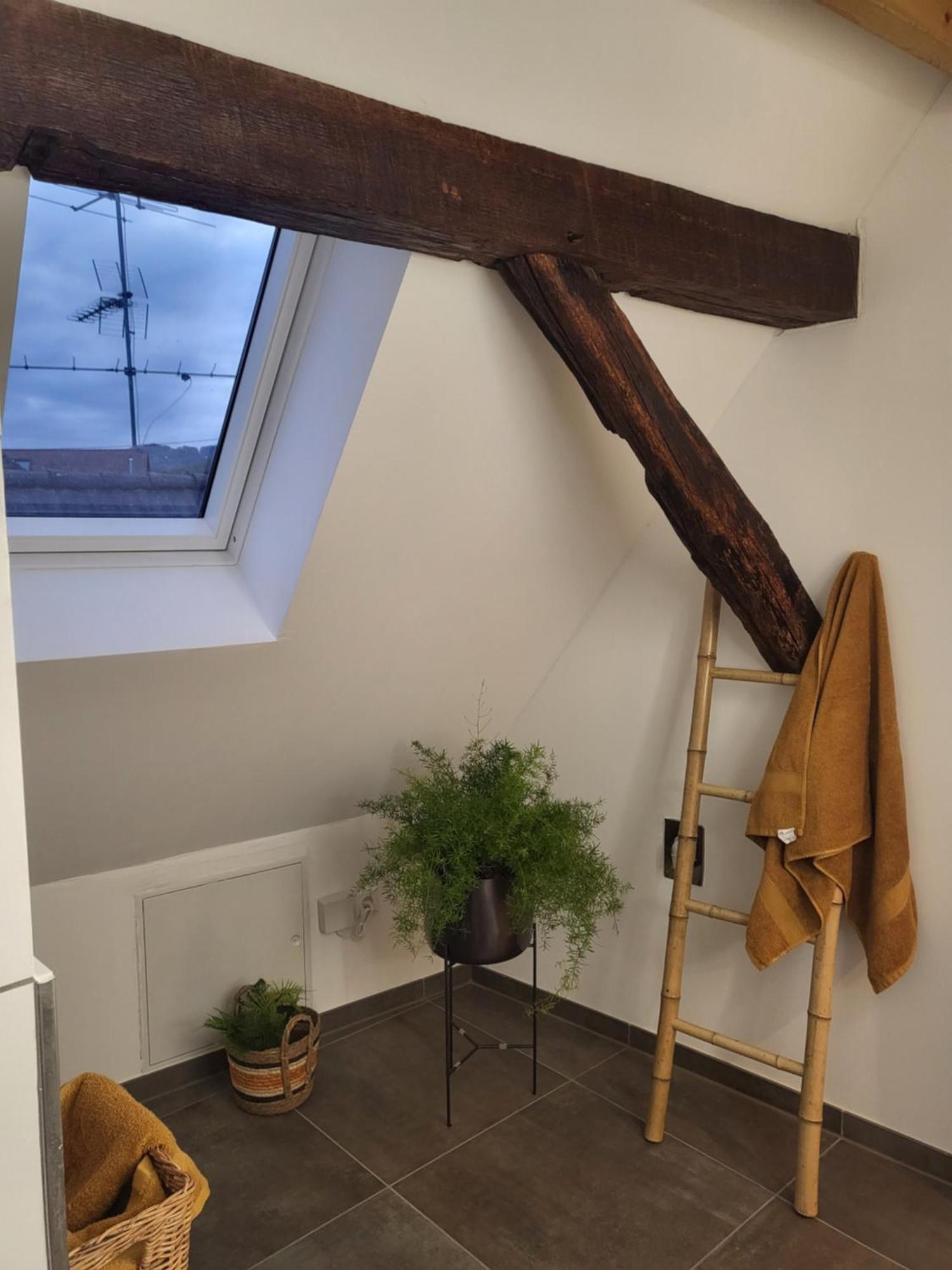 Ferienwohnung Im Rebstock Nr.1 Bahlingen  Luaran gambar